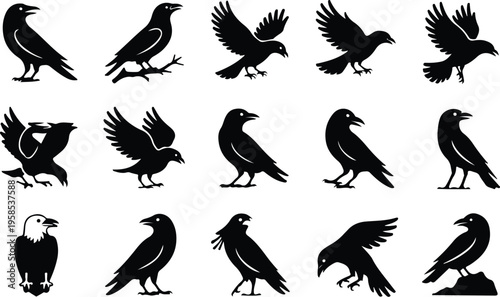 Raven Silhouette Icon Collection Set