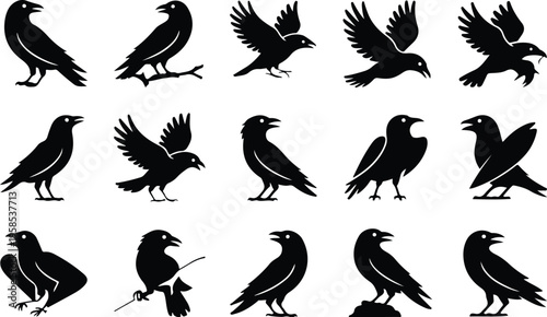 Raven Silhouette Icon Collection Set