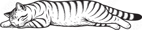 American Shorthair Cat Sleeping Stretched Out Side View Black and White Line Art Illustration
