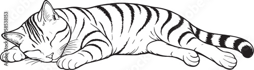 American Shorthair Cat Sleeping Stretched Out Illustration