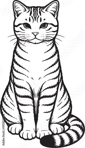 American Shorthair Cat Sitting Upright Alert Front View Black and White Line Art