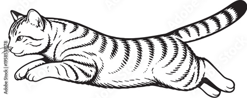 American Shorthair Cat Mid Air Leap Black and White Line Art Illustration
