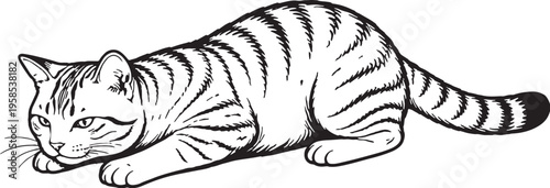 American Shorthair Cat Pouncing Low Crouch Black and White Line Art Illustration