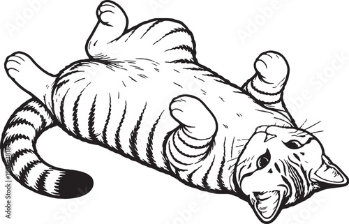 American Shorthair Cat Lying Belly Up Playful Black and White Line Art Illustration