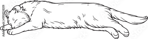 American Curl Cat Sleeping Stretched Out Side View Black and White Line Art Illustration