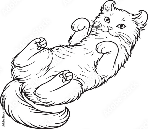 American Curl Cat Lying Belly Up Playful Black and White Line Art Illustration