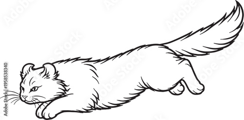 Tableau sur toile American Curl Cat Mid Air Leap Black and White Line Art Illustration