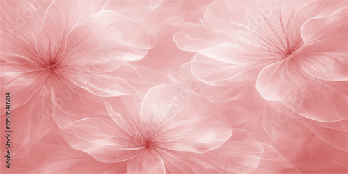 Soft pink chrysanthemum flower blossoms create an abstract nature background featuring delicate macro textures and rose-like petals for a beautiful spring floral bloom