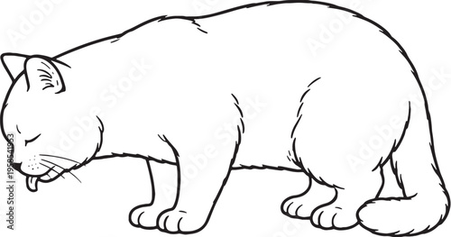 Scottish Straight Cat Drinking Side View Black and White Line Art Illustration