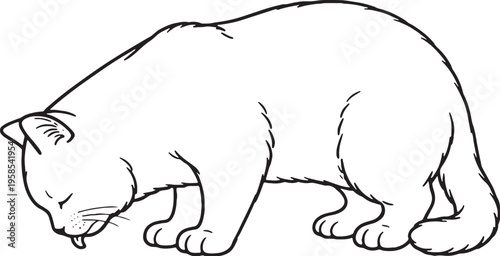 Scottish Straight Cat Eating Side View Black and White Line Art Illustration