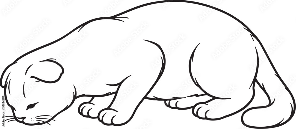 Obraz premium Scottish Fold Cat Eating Pose Line Art Black and White Cat Behavior Illustration