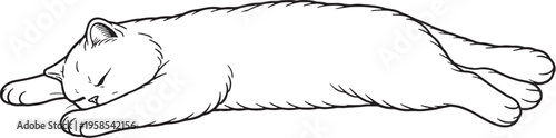Exotic Shorthair Cat Sleeping Stretched Out Line Art Black White Cat Illustration