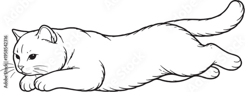 British Shorthair cat mid air leap jumping pose black and white line art isolated