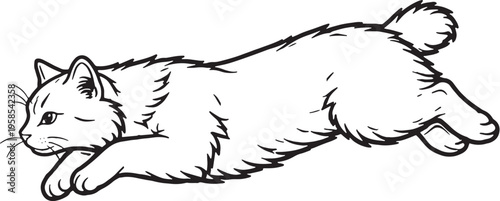 Obraz na plátně American Bobtail Cat Mid Air Leap Black and White Line Art