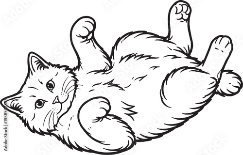 American Bobtail Cat Lying Belly Up Playful Black and White Line Art