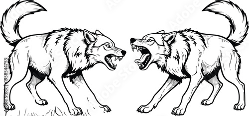 Angry growling wolves vector silhouettes, aggressive wolf pack fighting pose