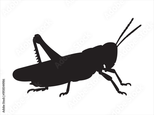 Grasshopper Silhouette, Grasshopper Silhouette Insect Wildlife Nature Vector Illustration