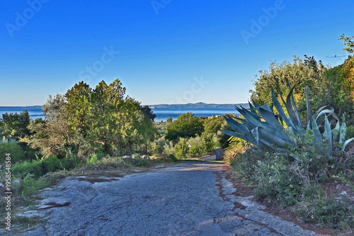 Photos La via francigena fra Bolsena e Montefiascone, fra boschi, campagna  e scorci sl