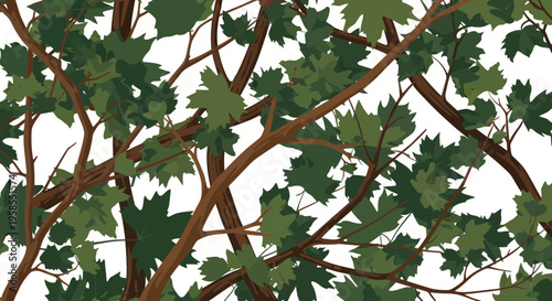 Abstract Maple Tree Branches with Green Leaves Pattern on White Background