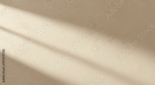 Sunlight streaming across a textured beige wall creates a simple, elegant backdrop that highlights the interplay of light and shadow with subtle, natural beauty.