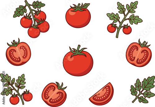 Adobe illustrations of tomatoes and tomato plants tor Artwork