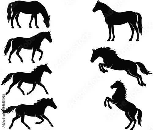 Set of horse silhouette vector illustrations showing different poses including running standing grazing jumping and rearing isolated on white background for animal design elements