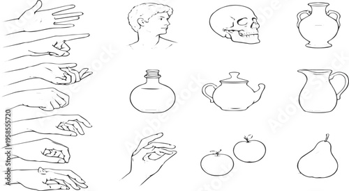 Artistic Anatomy Study: An educational illustration offers a comprehensive exploration of anatomy and design, combining the human form with still life elements.