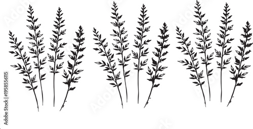 Ethereal Grass Sketch: A delicate and artistic sketch captures the essence of tall grass. A symbol of nature's beauty and serenity.