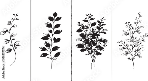 Elegant Botanical Art: A collection of exquisite botanical illustrations, each depicting delicate stems and leaves. Showcasing the beauty of nature.