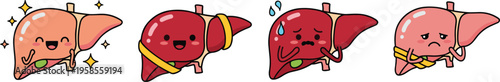 Cute liver character illustration set showing healthy liver, fatty liver, diseased liver, and medical condition concepts in colorful cartoon flat vector style