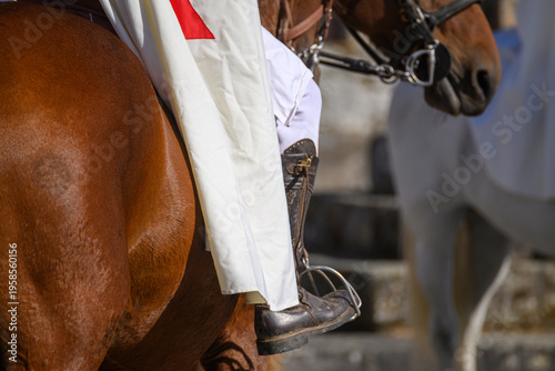 Bild auf Leinwand Knight Templar riding a brown horse in a parade The Concept of History