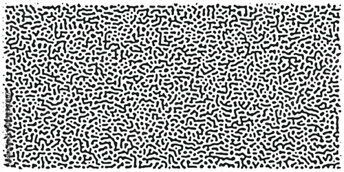 Abstract Black and White Speckled Pattern Background, Random Dotted Texture with Organic Shapes, Abstract Art