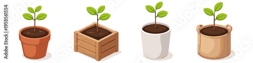 Four different plant pots with young seedlings growing in soil