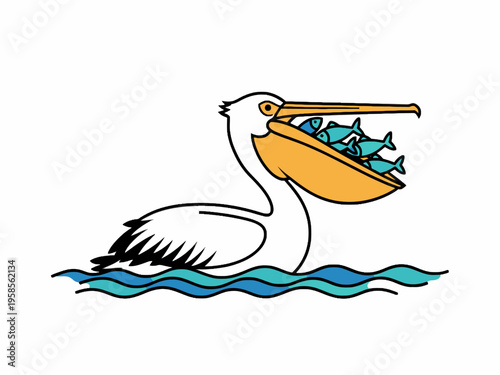 Pelican bird swimming with fish in beak vector illustration