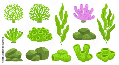 Vibrant Underwater Coral Reef Flora and Fauna Collection