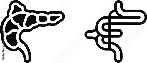 Human pancreas anatomy and digestive system vector icons