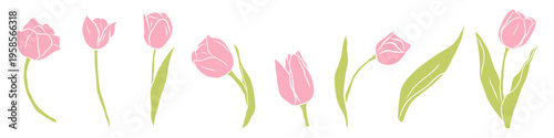 Set of pink tulip clipart. Hand drawn whimsical floral illustrations. Romantic spring flowers and leaves for  cards, invitations and posters