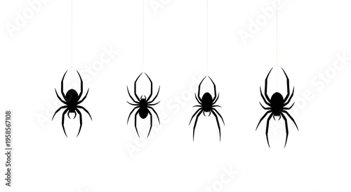 Four black widow spiders hanging from threads on white background spider insect arachnid halloween spooky creepy eight legs thread illustration silhouette icon set group arachnids