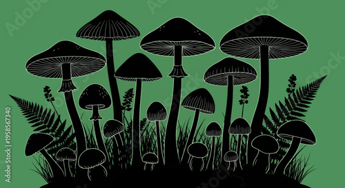A group of mushrooms and ferns on a green background fungi forest nature wild black illustration graphic silhouette outdoors environment ecosystem botany biology organism growth
