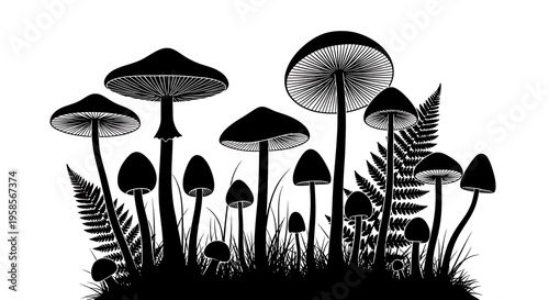 Black and white illustration of various mushrooms and ferns growing together in a forest floor scene with grass fungi silhouette nature wildlife botany mycology fungal