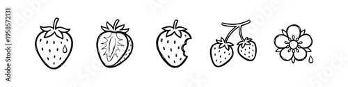 Strawberry, Cherry and Flower Monochrome Icon Set. High quality stock illustration with clear subject focus, cohesive composition, and versatile commercial applicability across branding, editorial.