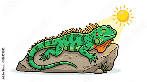 Green iguana relaxing on a rock under the sun