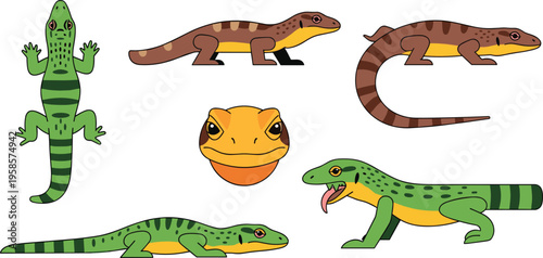Lizard Cartoon Reptile Character Set with Different Species and Poses Isolated on White Background for Wildlife Illustration, Exotic Animal Design, and Educational Graphics