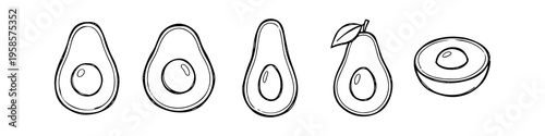Variant focused on seeds and line icon in outline style. Alternative leaf and varying collection in outline style. Distinct avocado and seed set in outline style. Avocado, Seed and Leaf Monochrome.