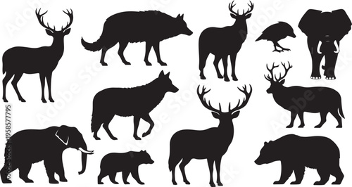 Silhouettes of various wild animals on white background