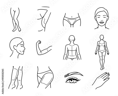 Female Hair Removal Body Zones Line Icon Set for Beauty and Skincare