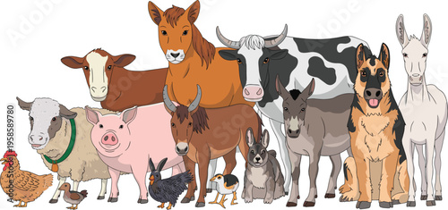 Large collection of farm and domestic animals including cow pig sheep chicken horse and dog vector illustration set.