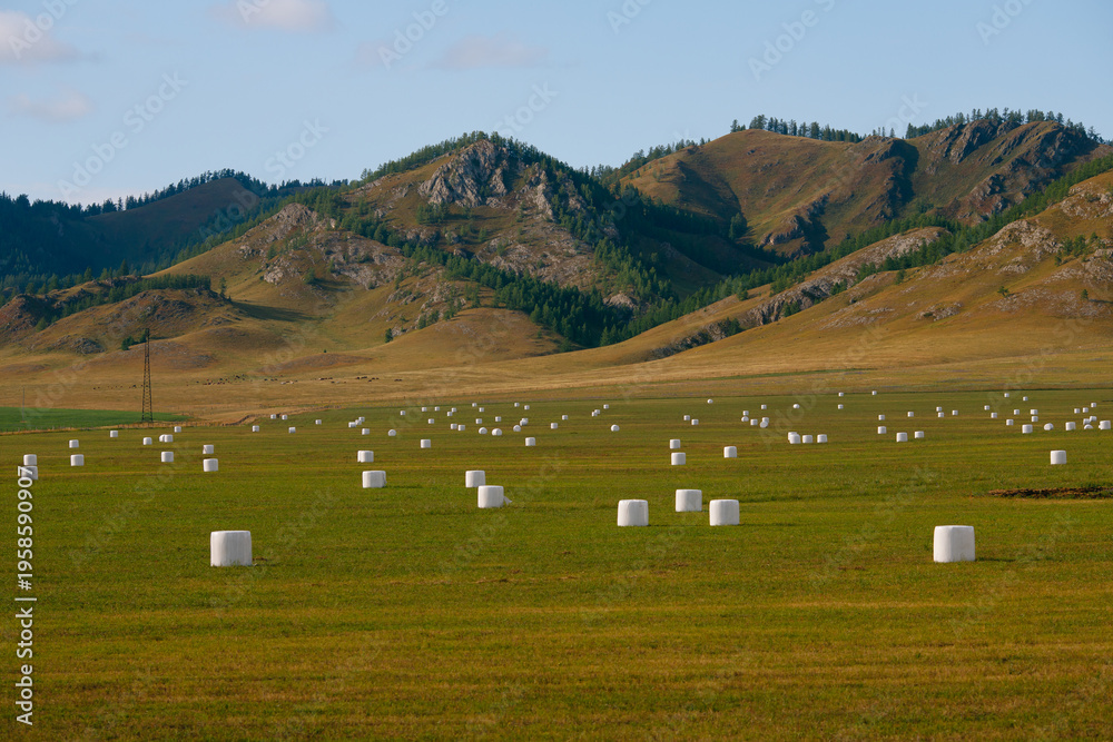 Obraz premium Scenic farm landscape with hay bales on rolling hills under blue sky