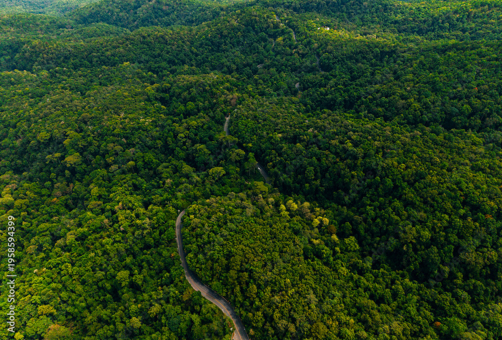 Naklejka premium Aerial panorama of winding road through expansive forest landscape, travel trip to Thailand concept