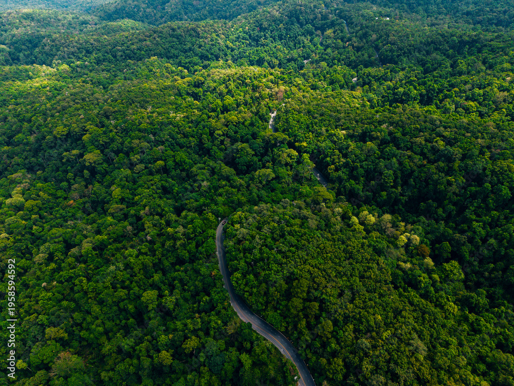 Fototapeta premium Winding road snaking through dense forest canopy aerial, travel trip to Thailand concept